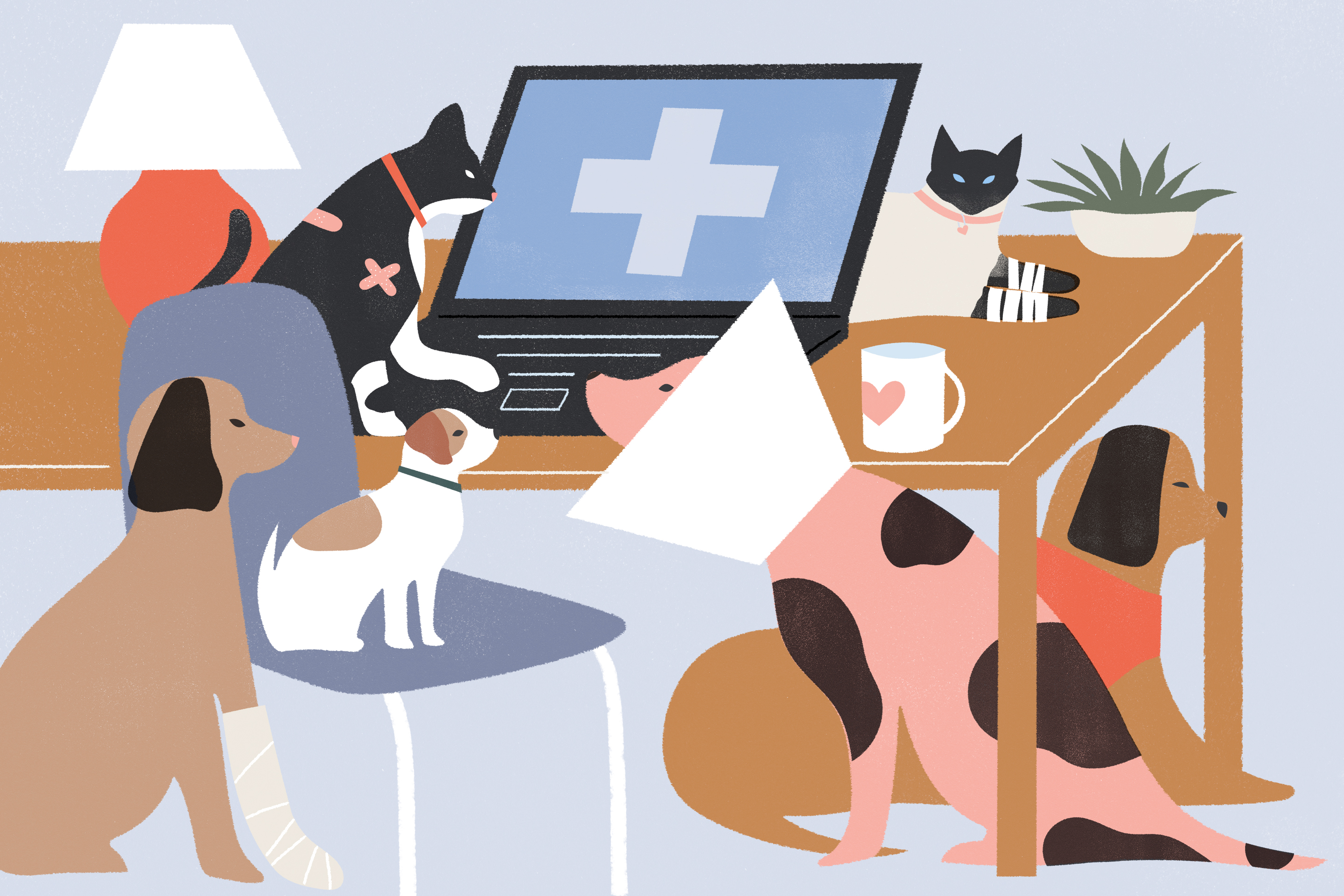It’s Better to Be Safe Than Sorry With Pet Insurance